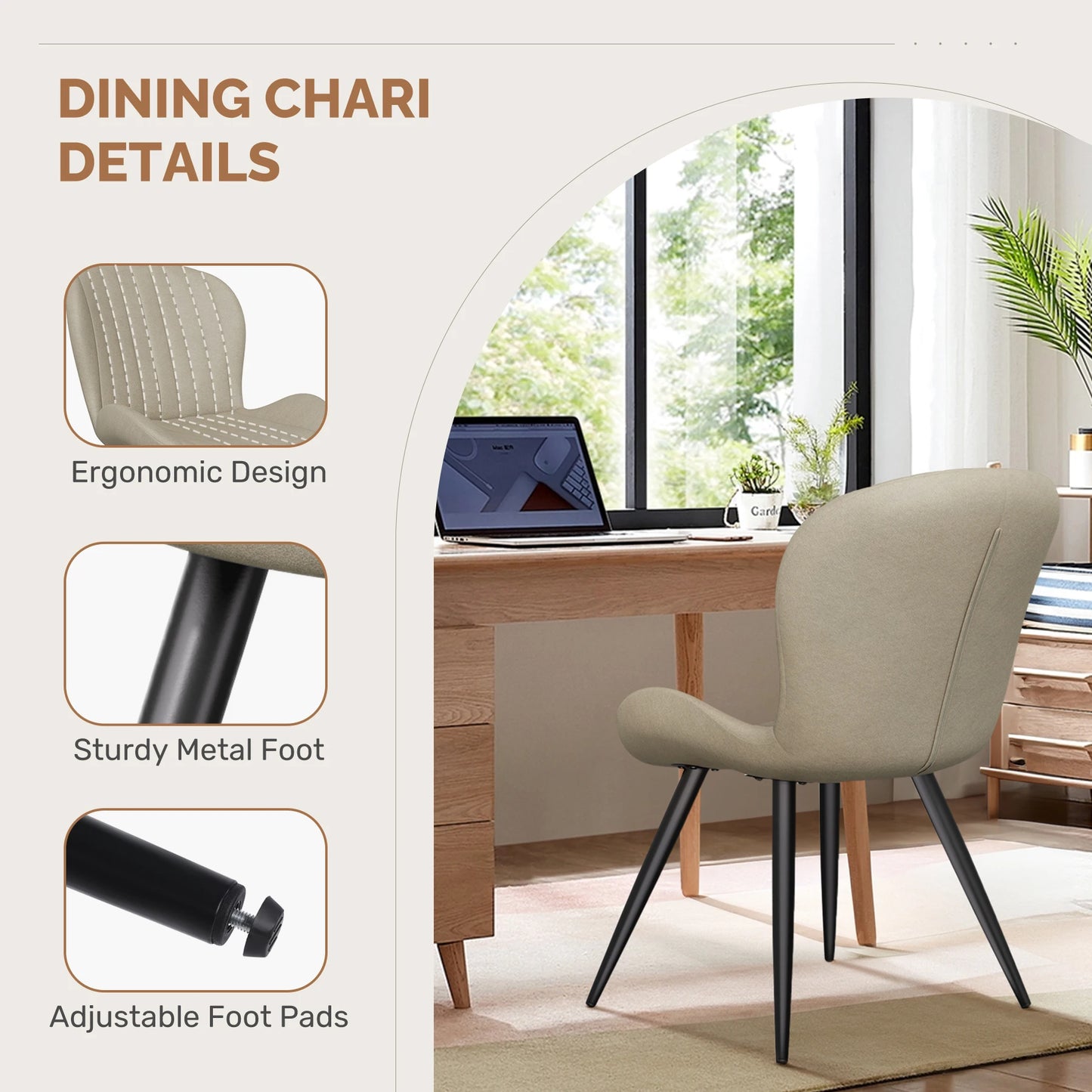 Modern Shell Dining Chairs