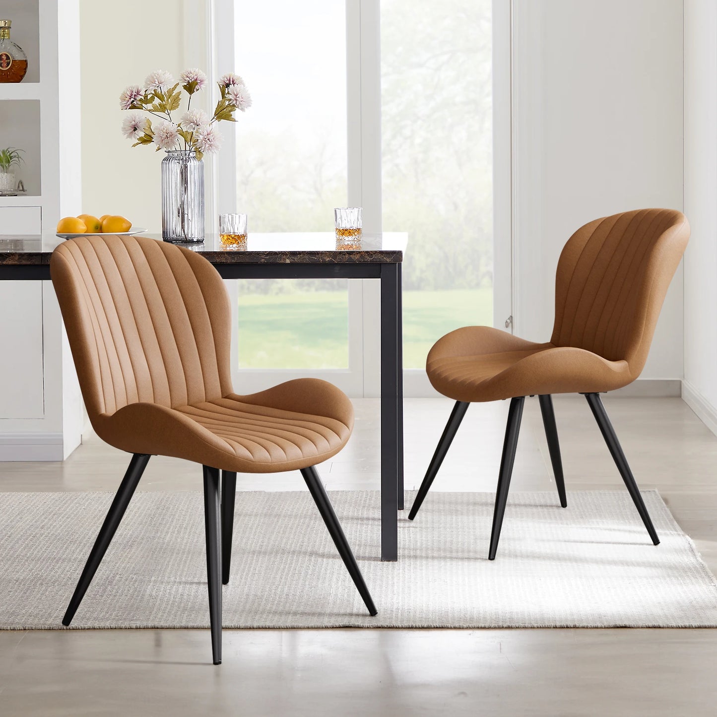 Modern Shell Dining Chairs