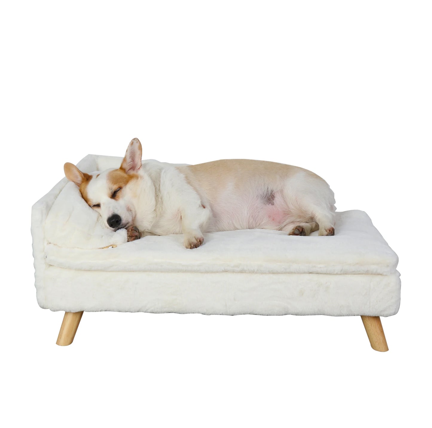 Elevated Pet Bed