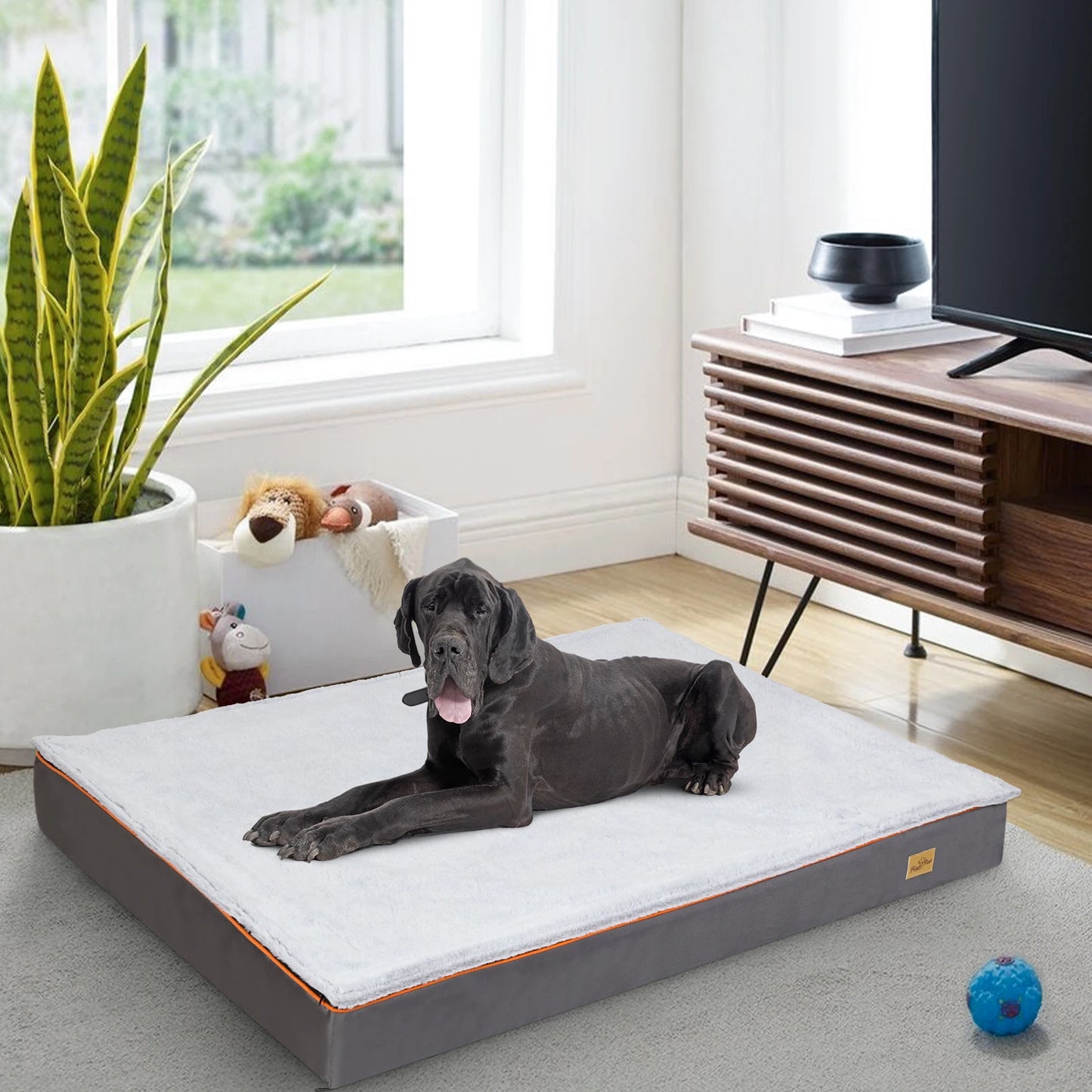 Orthopedic Foam Dog Bed with Washable Cover