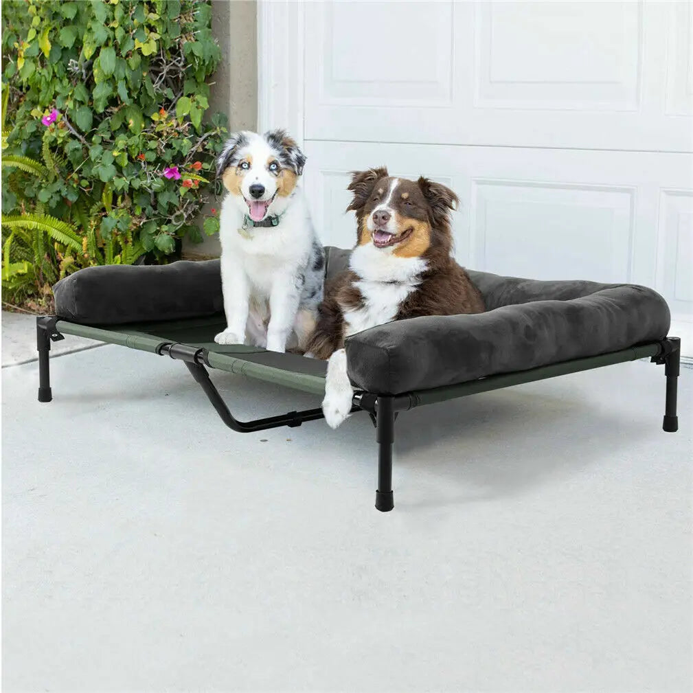 Elevated Cooling Dog Bed with Bolster