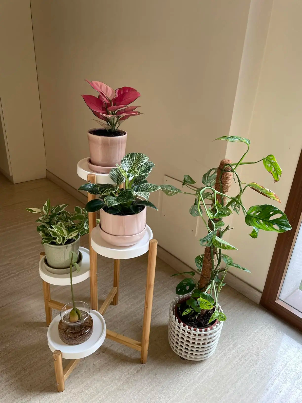 Bamboo 4-Tier Plant Stand