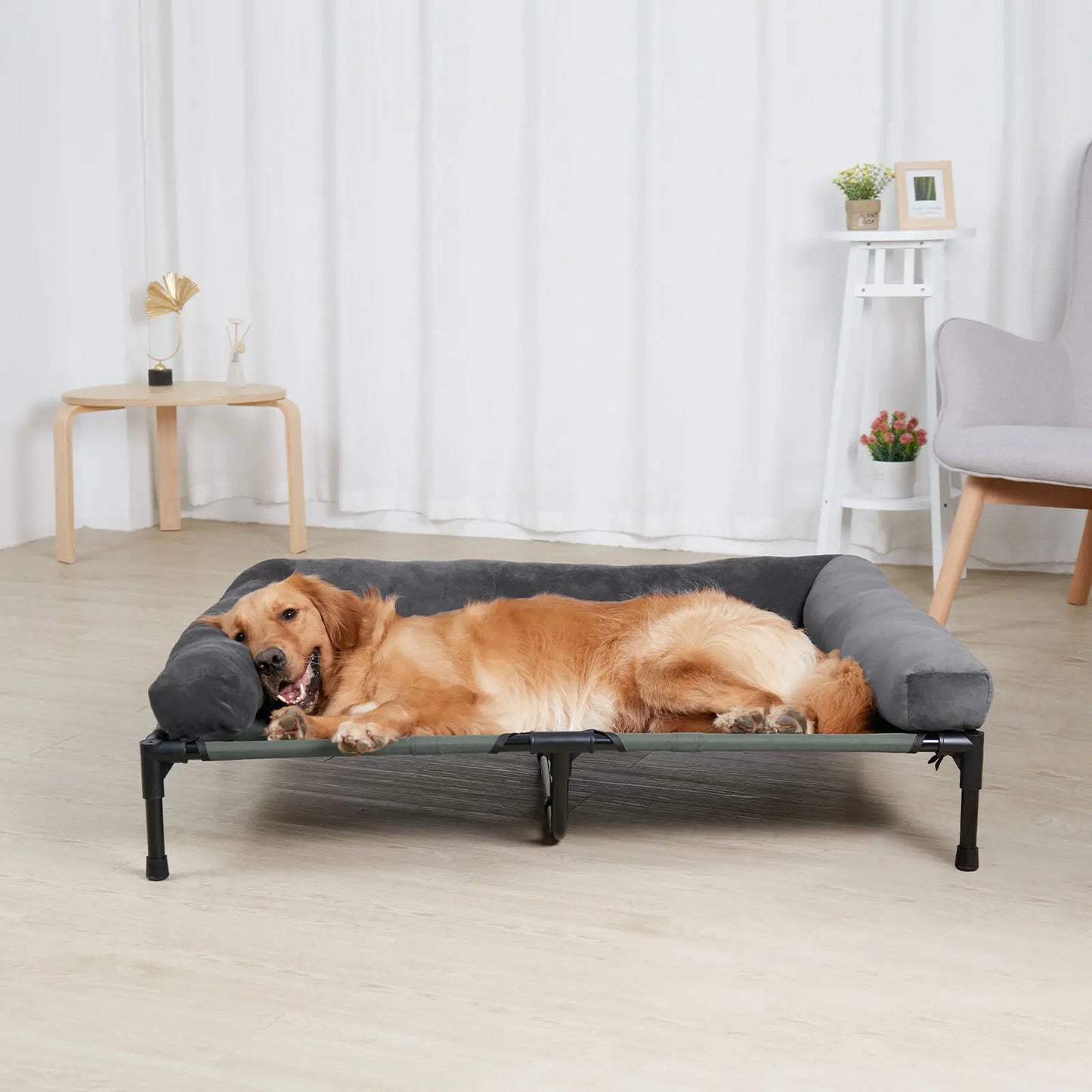 Elevated Cooling Dog Bed with Bolster