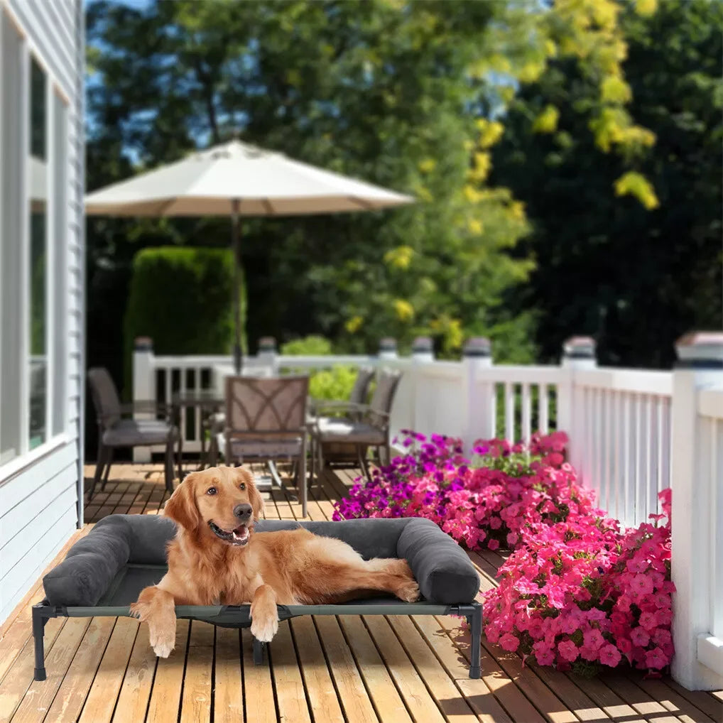 Outdoor Elevated Dog Bed with Bolster
