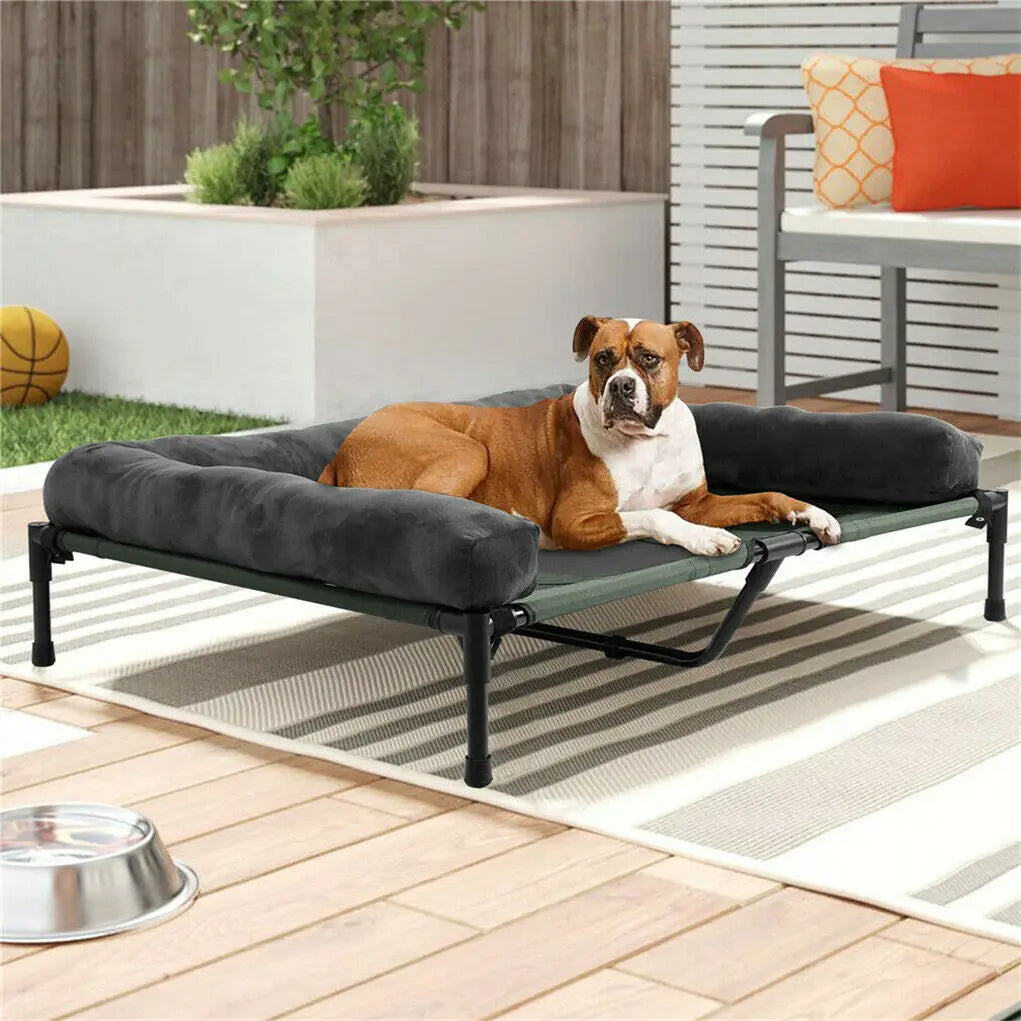 Elevated Cooling Dog Bed with Bolster