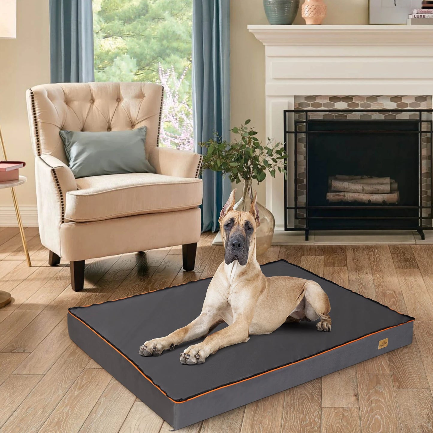Orthopedic Foam Dog Bed with Washable Cover