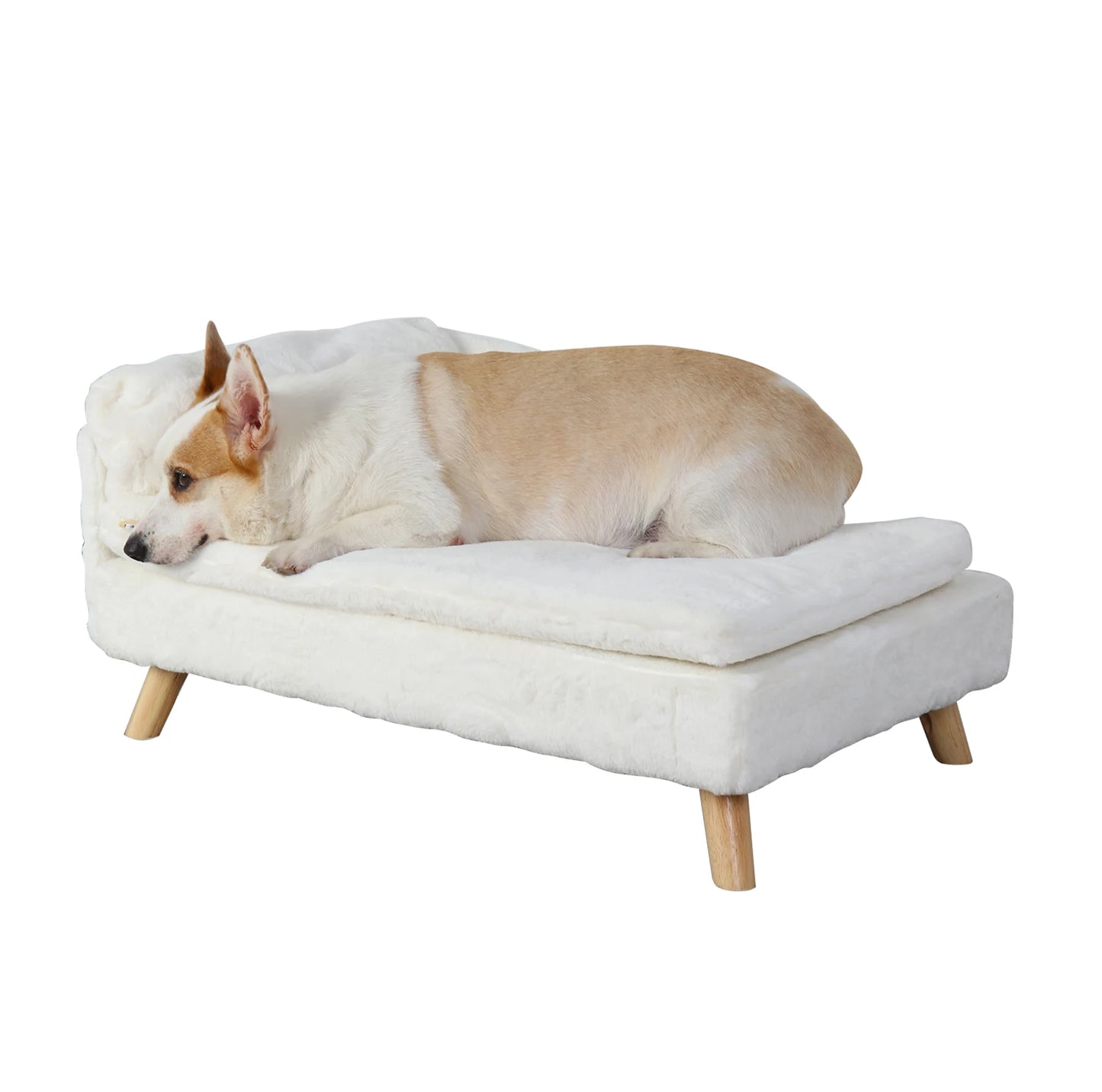 Elevated Pet Bed