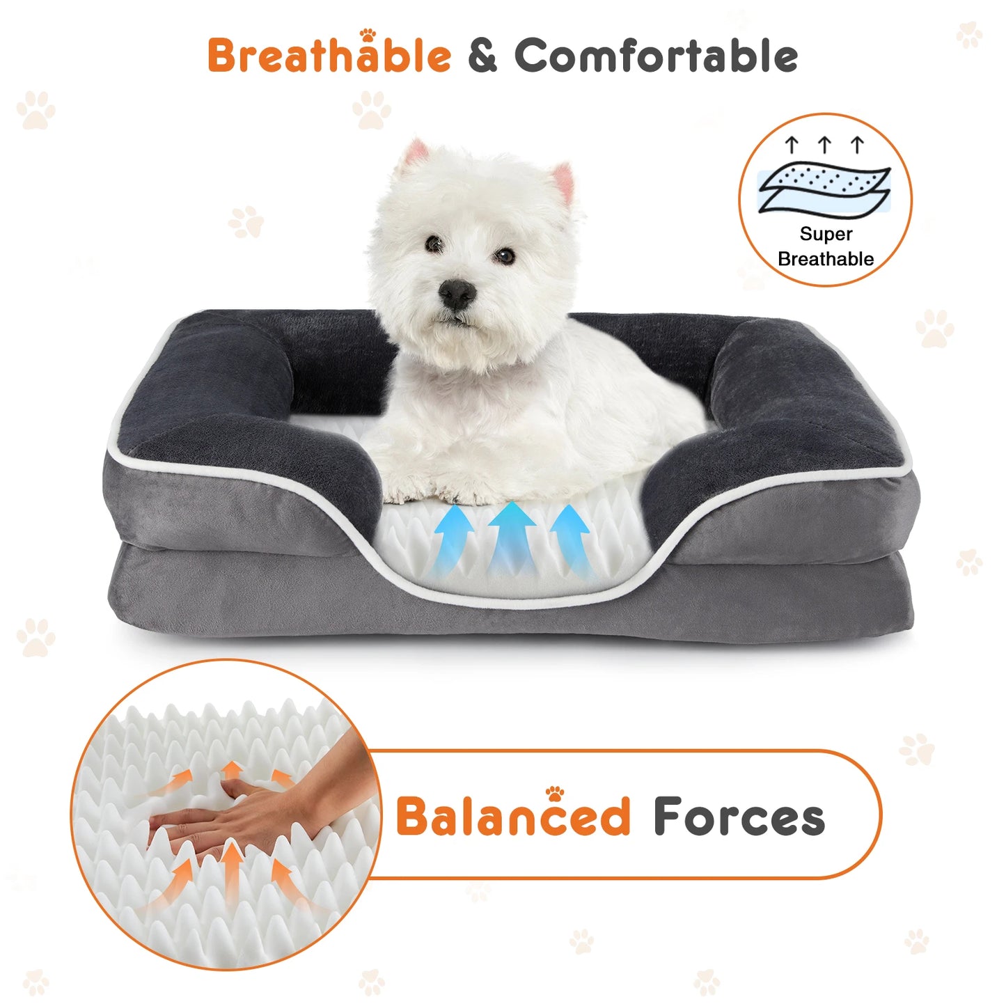 Orthopedic Dog Bed