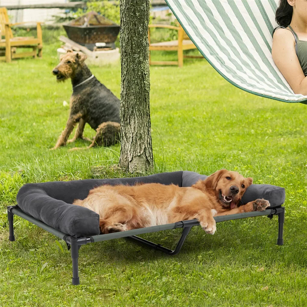 Outdoor Elevated Dog Bed with Bolster
