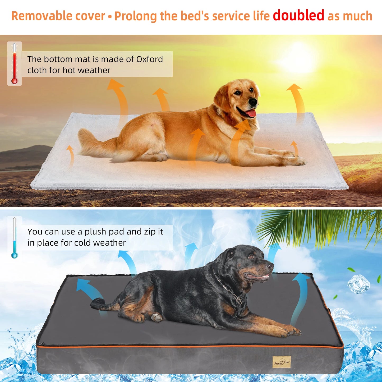 Orthopedic Foam Dog Bed with Washable Cover