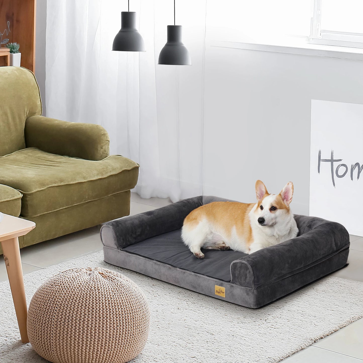 Extra Large Dog Sofa Bed
