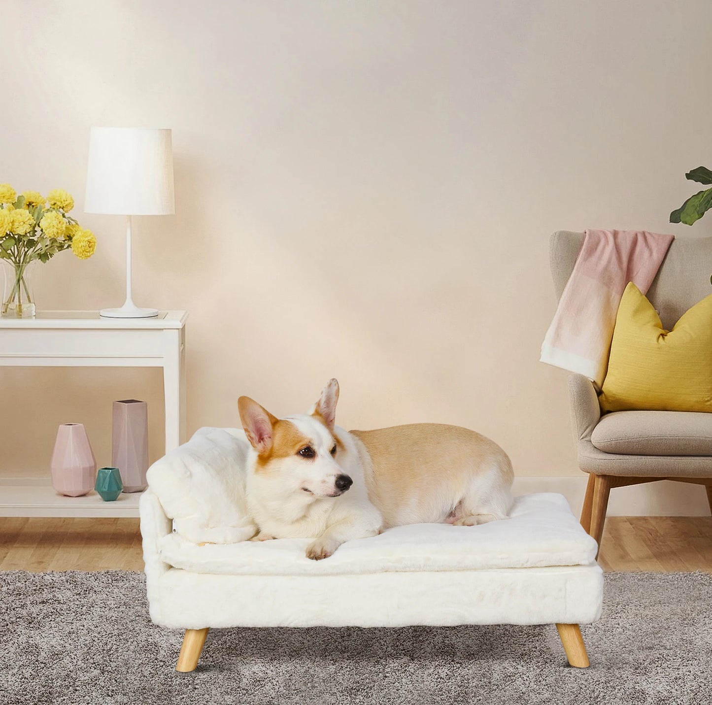 Elevated Pet Bed