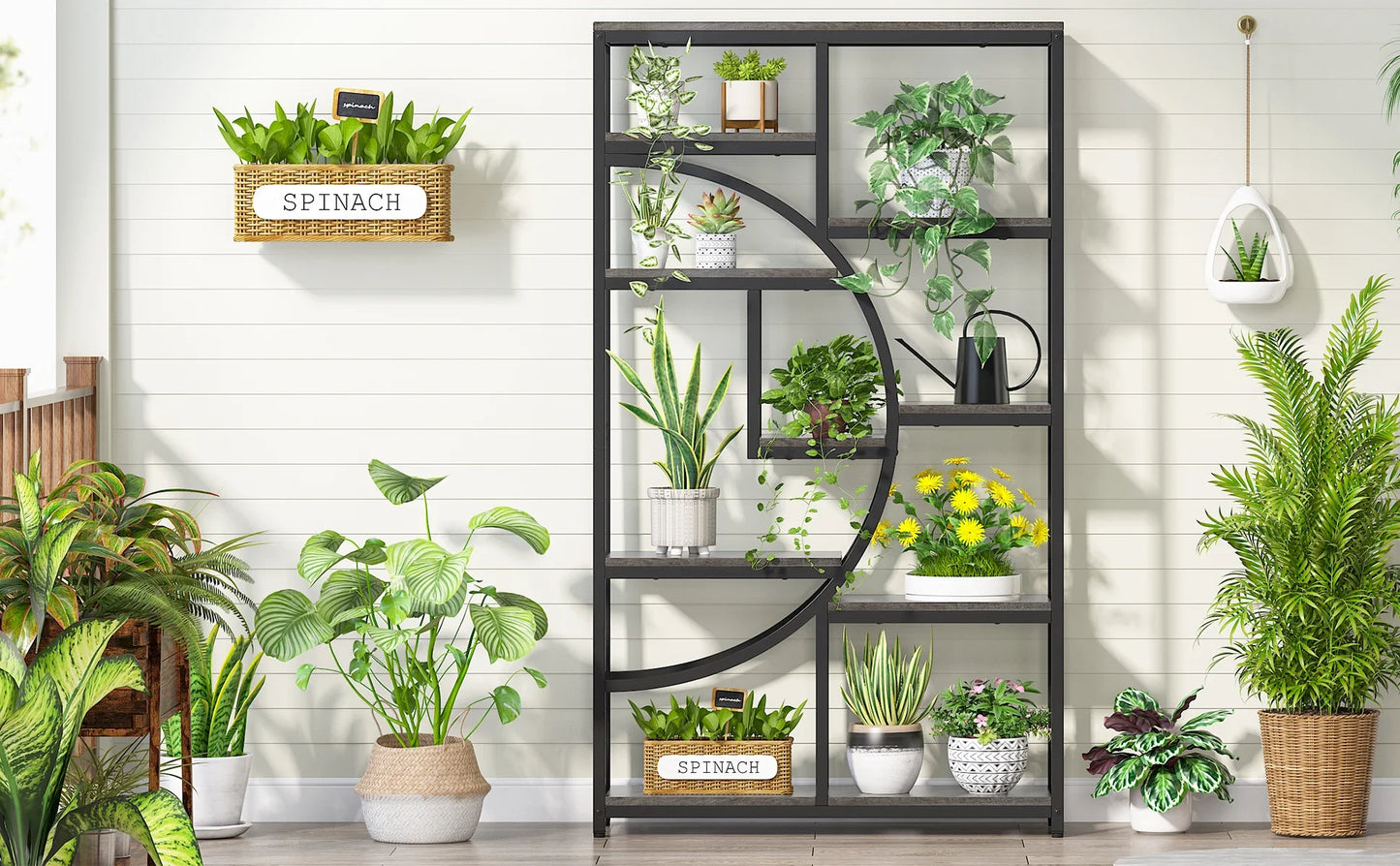 Half‑Moon Etagere Bookcase