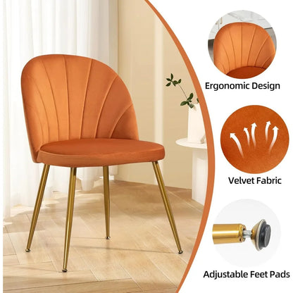 Velvet Accent Dining Chairs