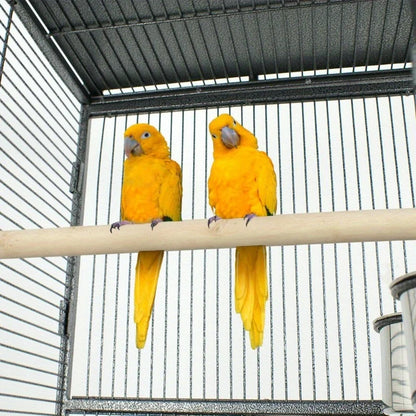 Large Steel Bird Cage