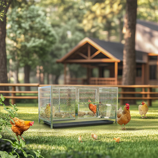 Stainless Steel Chicken Cage