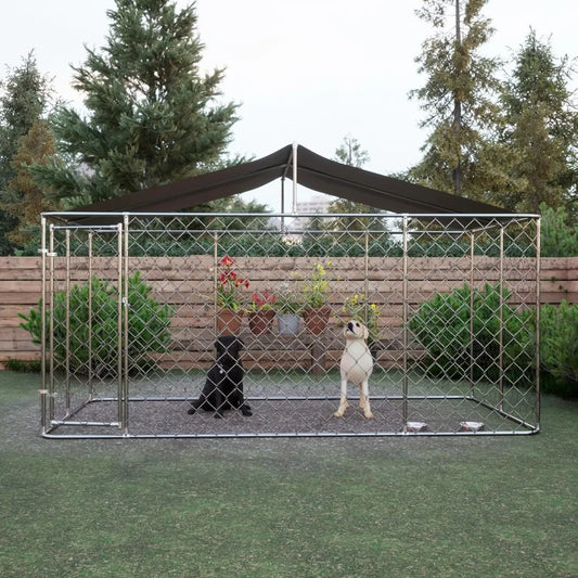 Outdoor Dog Kennel
