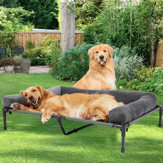 Outdoor Elevated Dog Bed with Bolster
