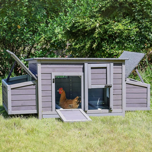 Wooden Chicken Coop