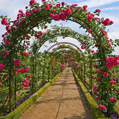 Metal Wedding Arch