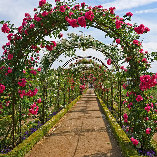 Metal Wedding Arch